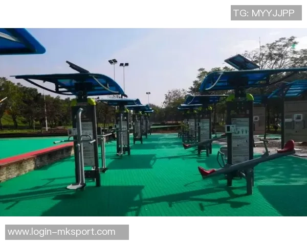 北京极限运动队意识表现的数据分析与研究探讨